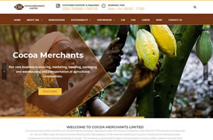 Website Development for Mining Company