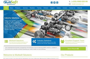 website development for Software Company