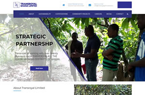 Website Design for Banks