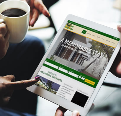 Website Design