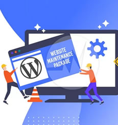 Website Maintenance