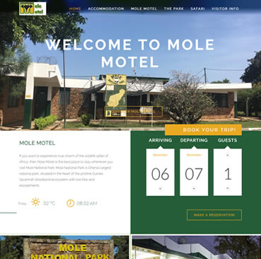 Mole Motel preview